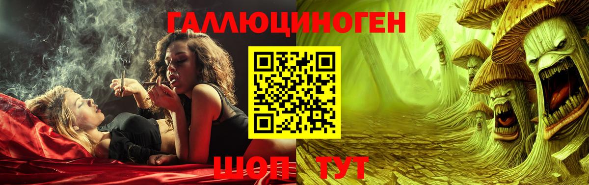 Псилоцибиновые грибы MAGIC MUSHROOMS Родники